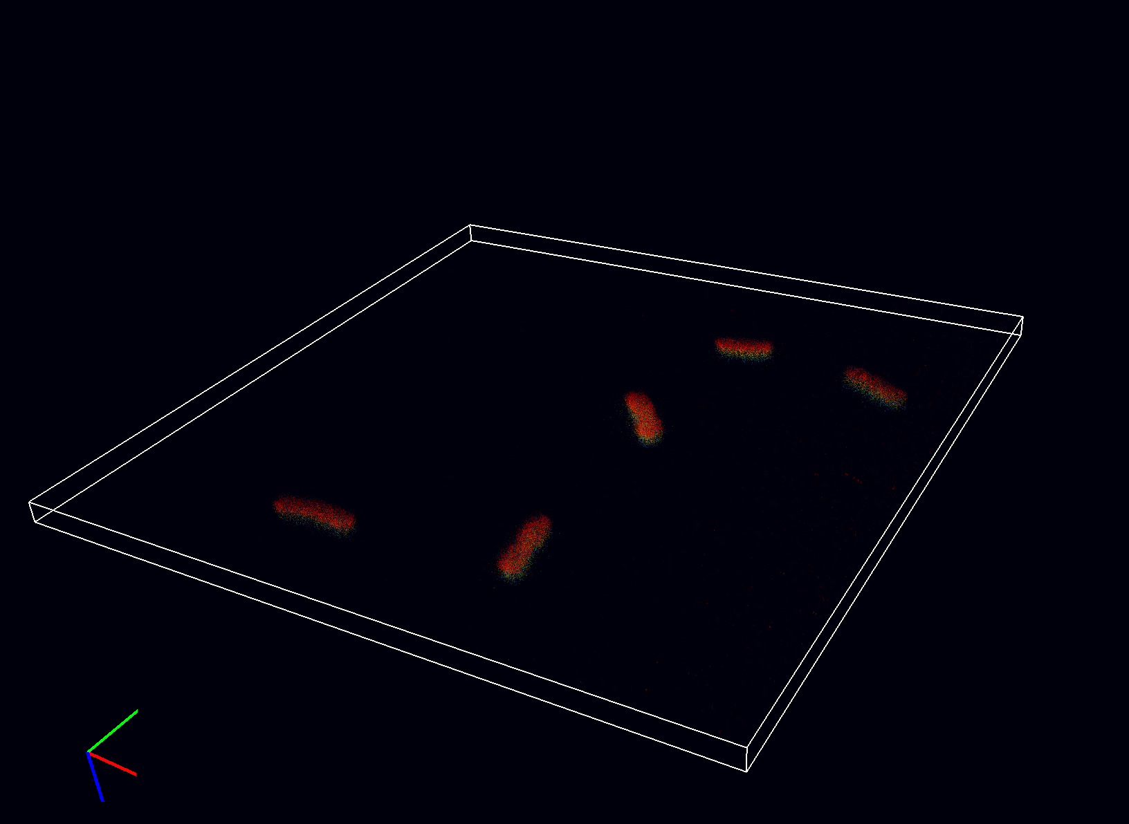 Intracellular labelling of E. coli