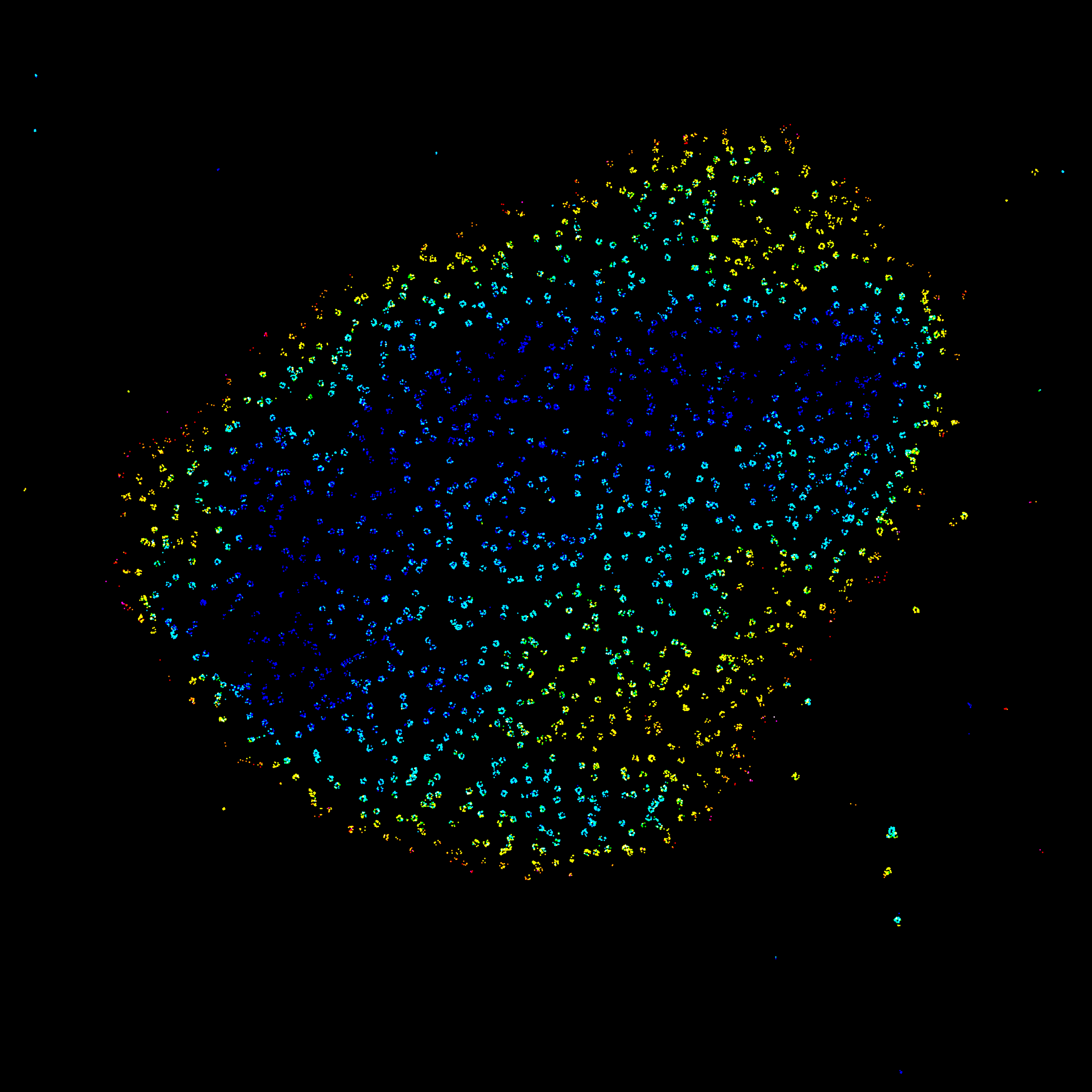 Nuclear pores in U2OS Cells